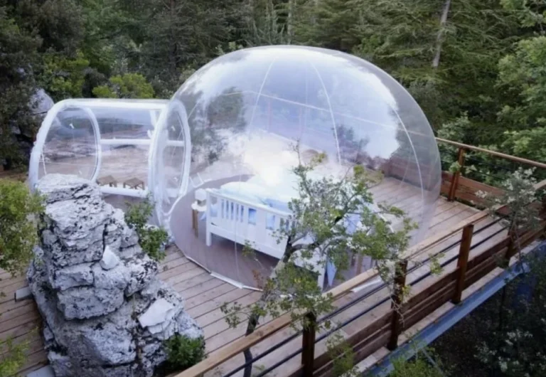 Transparent bubble tent in forest setting.