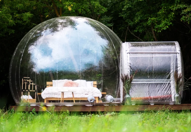 Transparent bubble tent in forest setting.