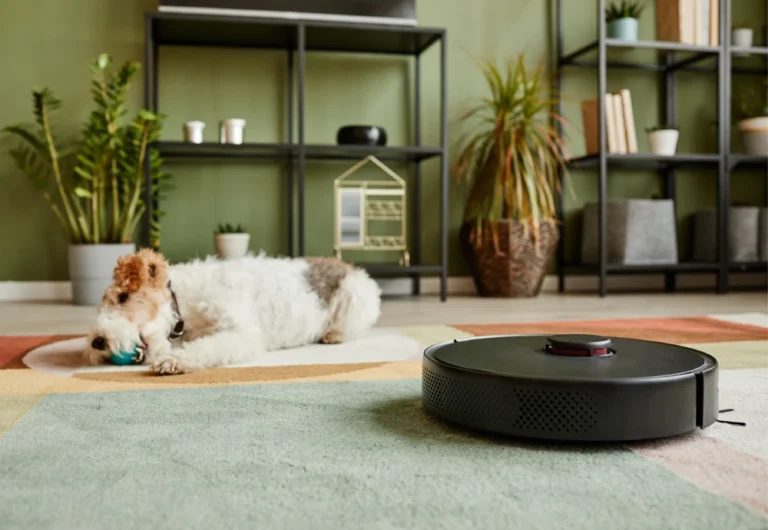 Dog playing beside robot vacuum in modern living room.